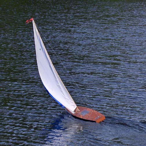 RC sailboat