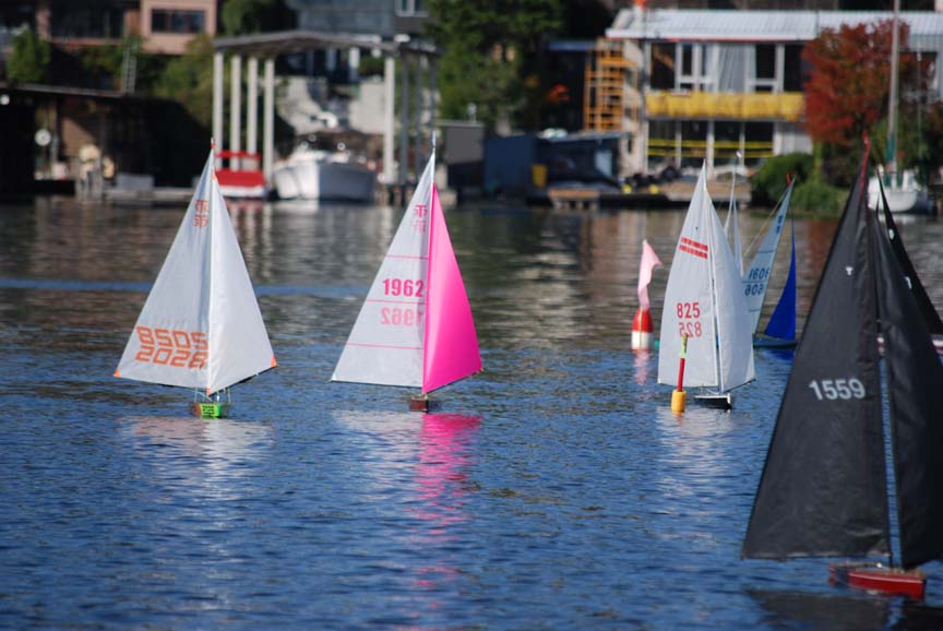 radio control model sailing boat