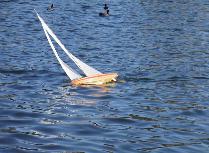 rc sailboat model sailboat